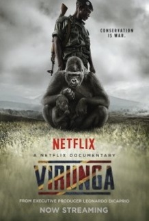 Вірунга / Virunga (2014)