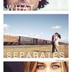 Що нас розділяє / What Separates Us (2017)