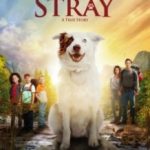 Бродяжка / The Stray (2017)